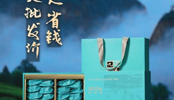 2026年7月老茶收藏仓储趋势：团购渠道与存放价值
