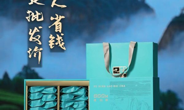2026年7月老茶收藏仓储趋势：团购渠道与存放价值